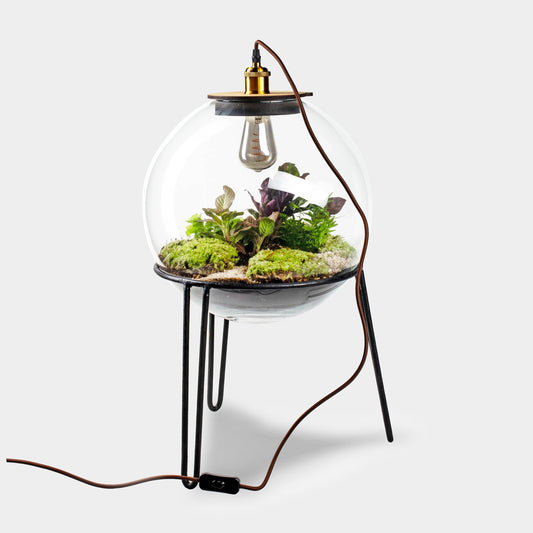 Demeter Botanical Incl. Standaard - Terrarium Met Lamp - 60Cm