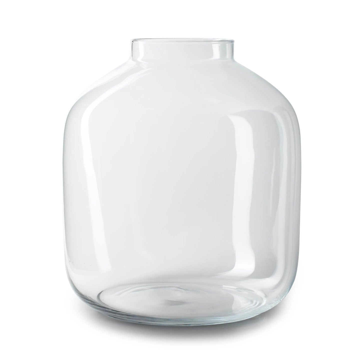 Vaas | Bolvorming | Terrarium | Glas | ↑45Cm -Ø40Cm