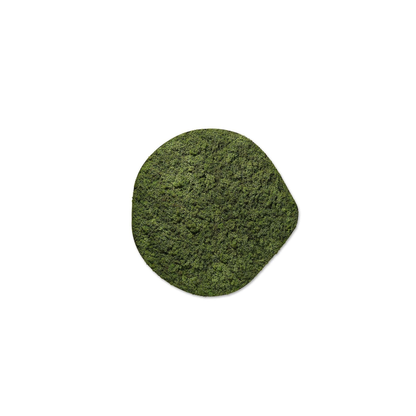 Freyr Groen - Mosschilderij - 30Cm