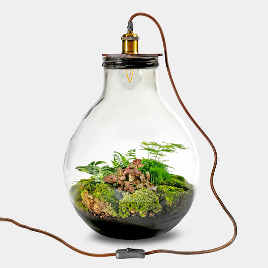 Ecolight Xl Botanical -  Terrarium Met Lamp - 45Cm