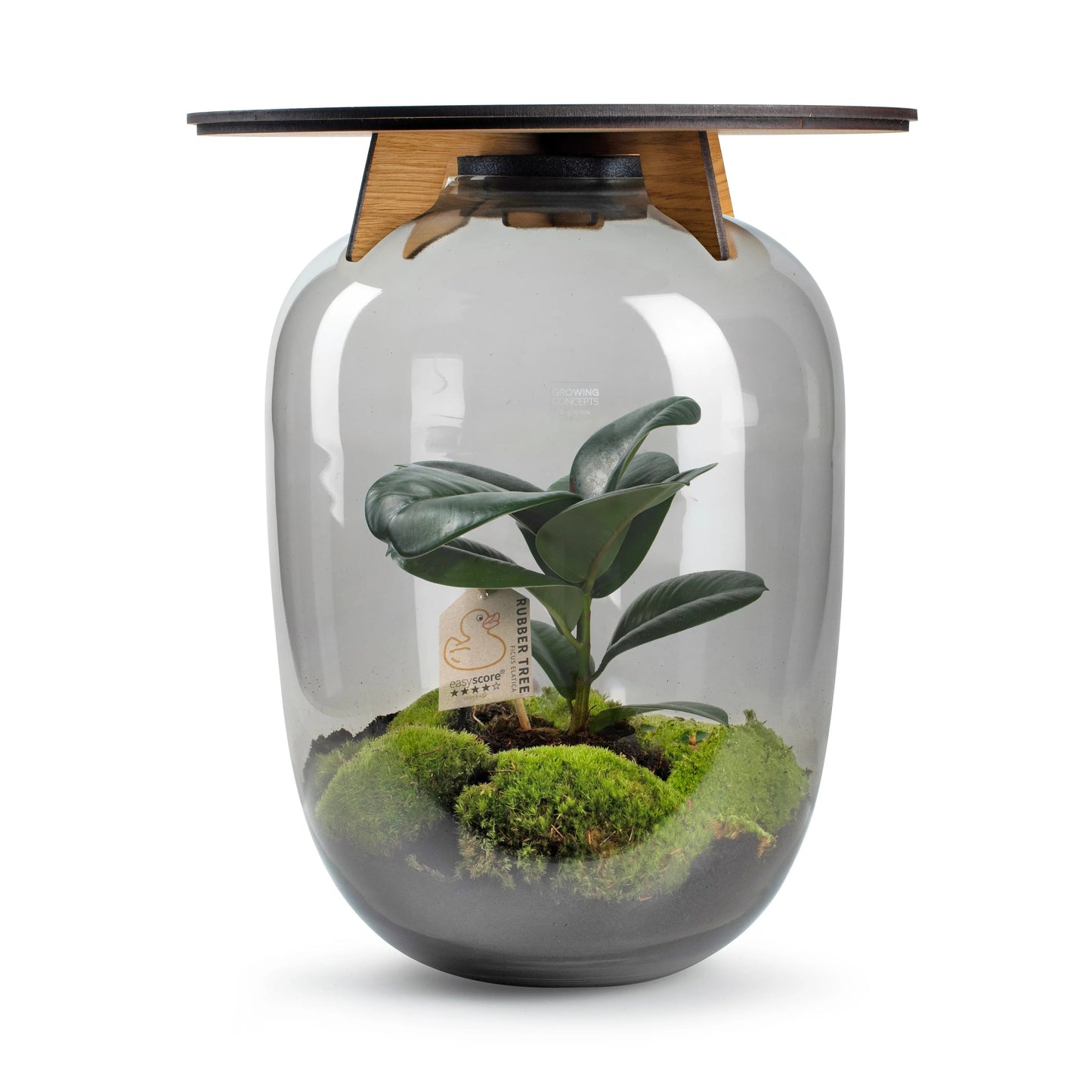 Ceres Forest - Terrarium Tafel - 45Cm