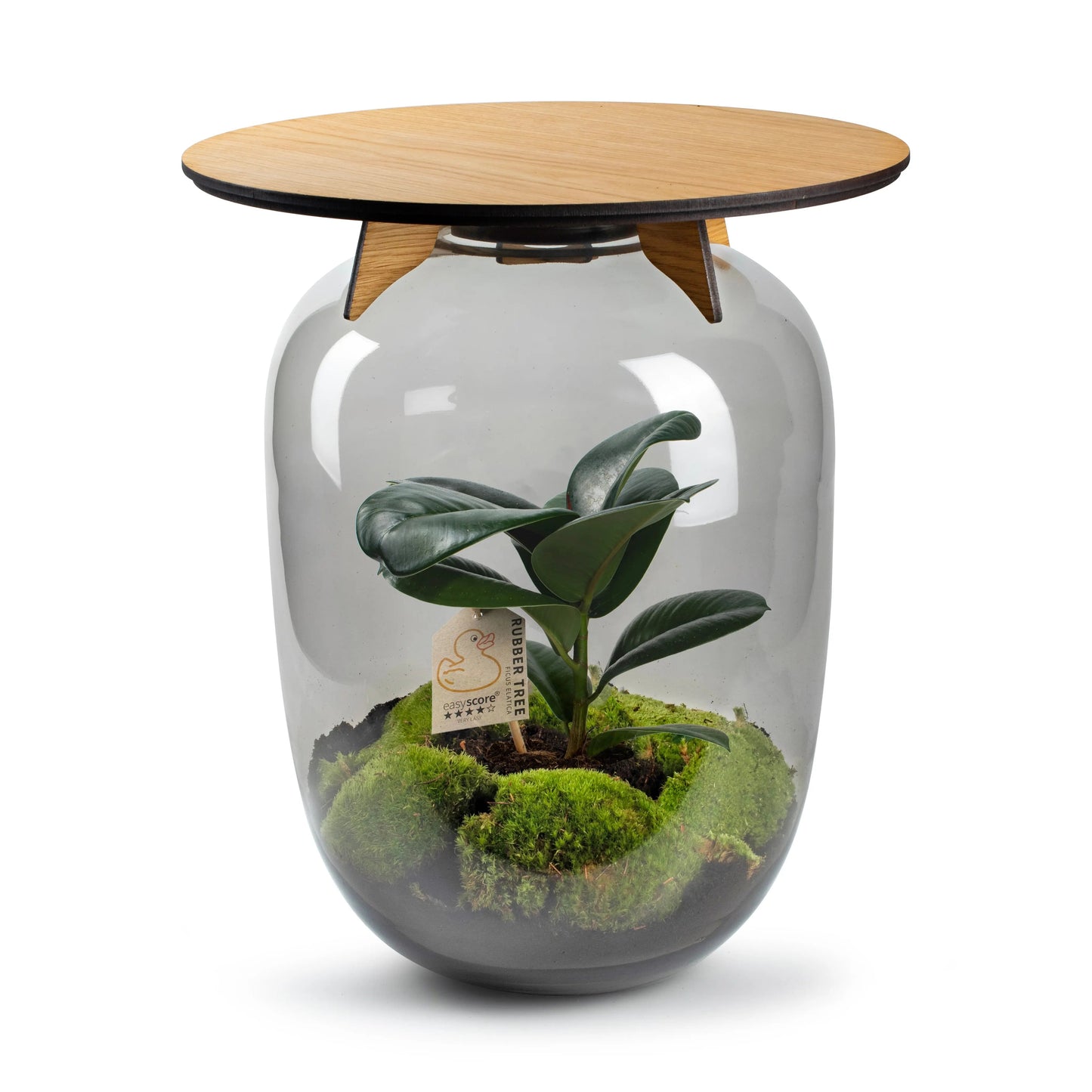 Ceres Forest - Terrarium Tafel - 45Cm