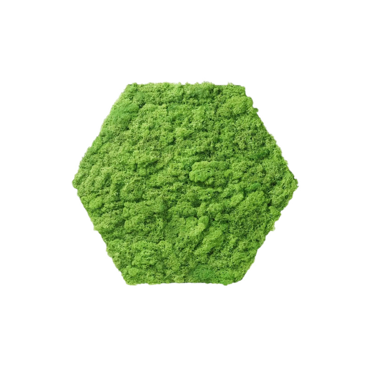 Huldra Hexagon Lichtgroen Mos - Wandtegel - 21X24Cm