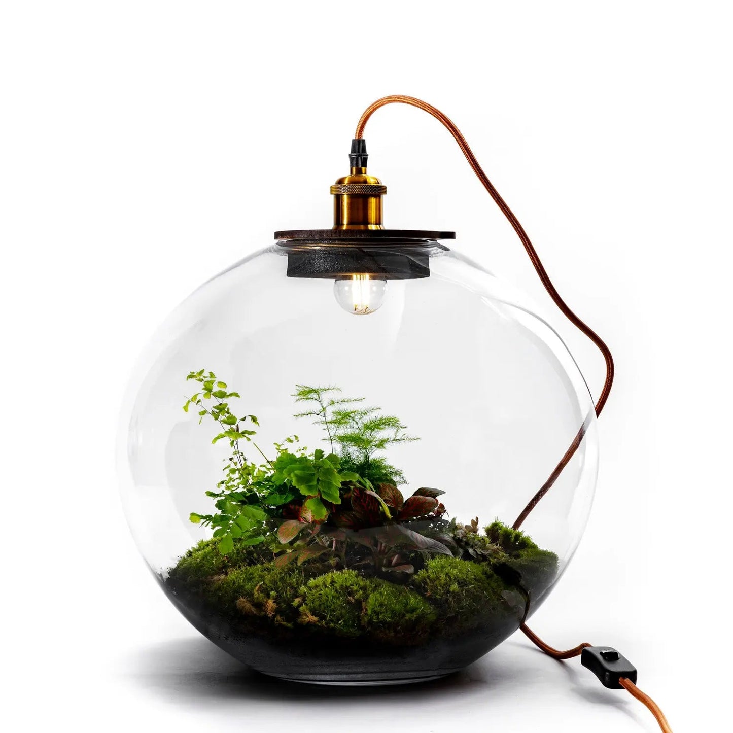 Demeter Botanical - Terrarium Met Lamp En Standaard - 40Cm