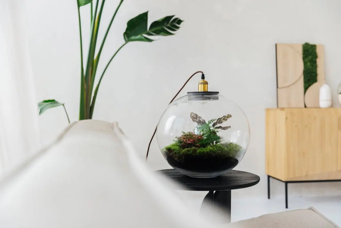 Demeter Botanical - Terrarium Met Lamp En Standaard - 40Cm