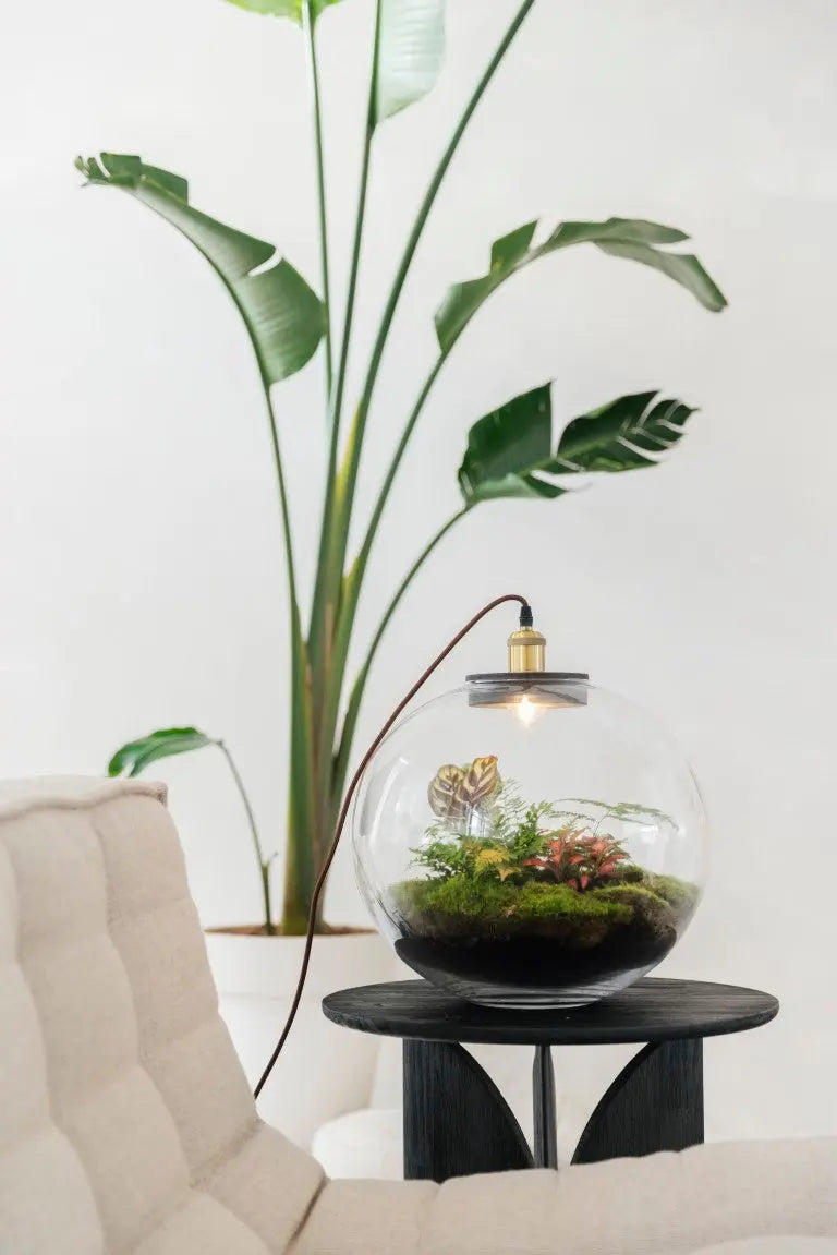 Demeter Botanical - Terrarium Met Lamp En Standaard - 40Cm