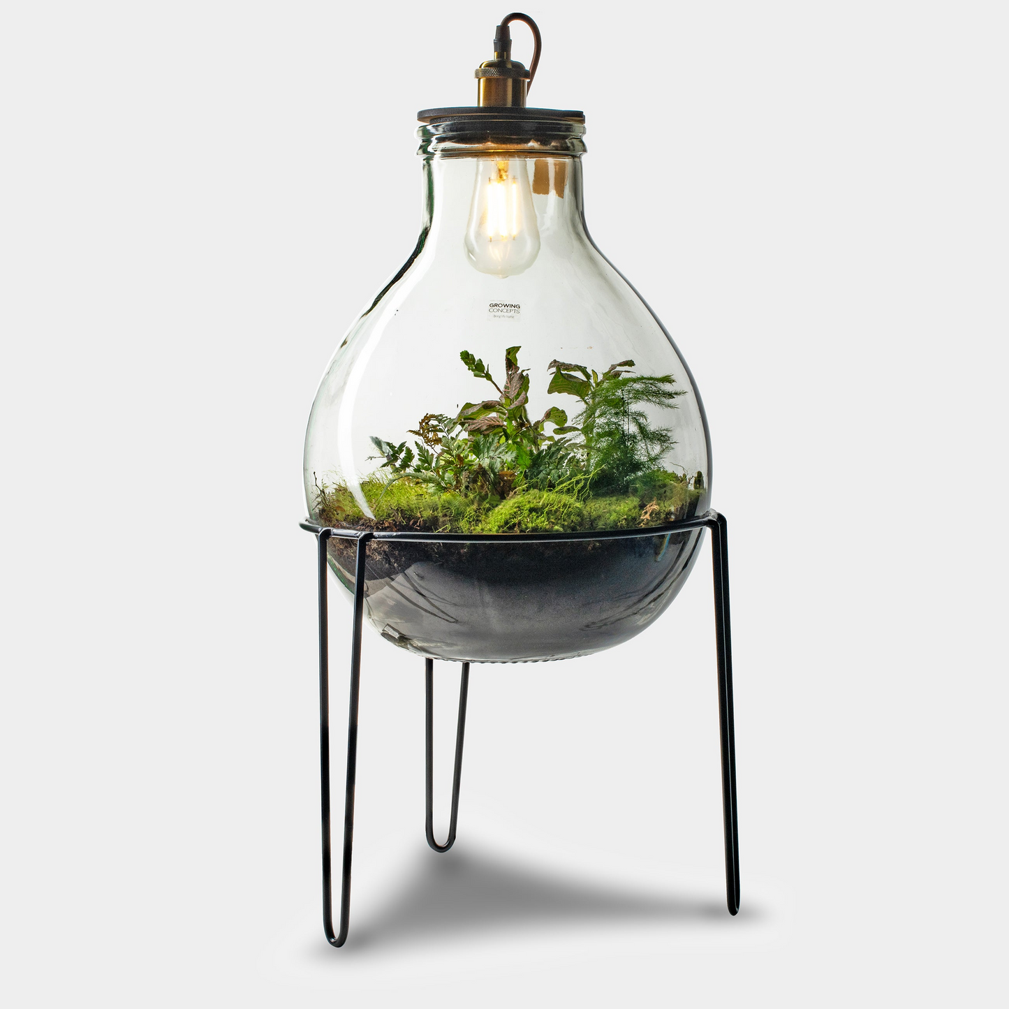 Ecolight Xxl Botanical Incl. Standaard - Terrarium Met Lamp - 80Cm