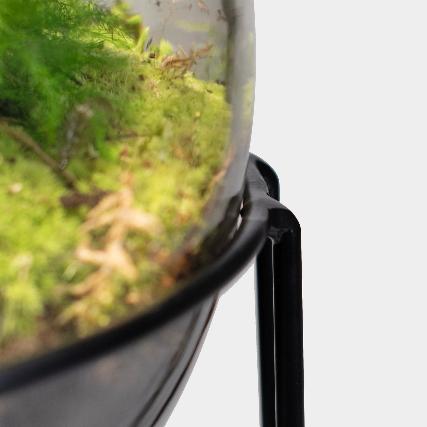 Ecolight Xxl Botanical Incl. Standaard - Terrarium Met Lamp - 80Cm